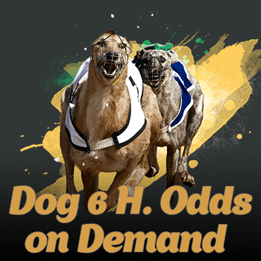 Dog 6 H. Odds On Demand